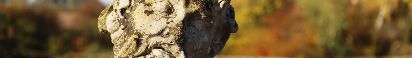 Strength and Serenity